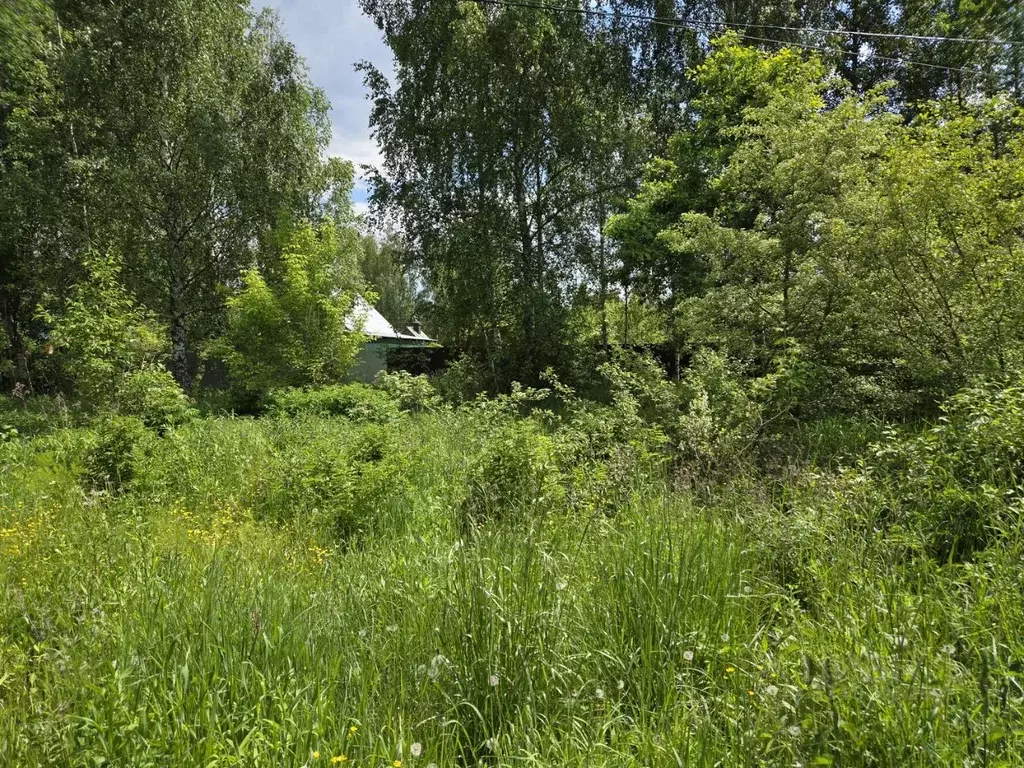 Участок в Москва д. Ожигово, ул. Спокойная, 12соор1 (6.71 сот.) - Фото 2
