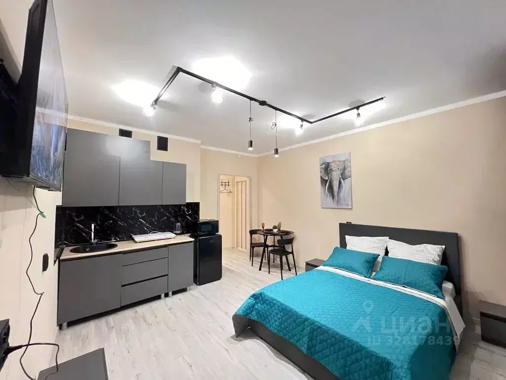 Студия Орловская область, Орел Речной пер., 6 (34.0 м) - Фото 2