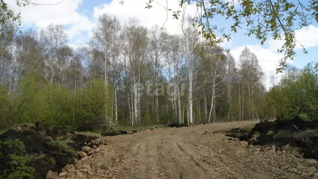 Участок в Свердловская область, Екатеринбург ВИЗ жилрайон,  (15.83 ... - Фото 0