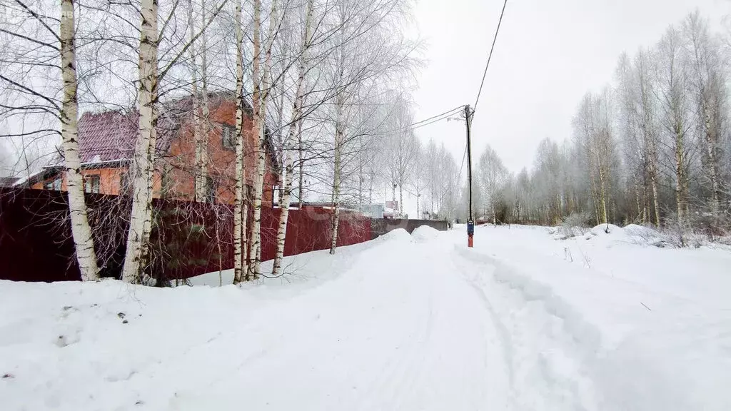 Участок в Ярославская область, сельское поселение Некрасовское, ... - Фото 1