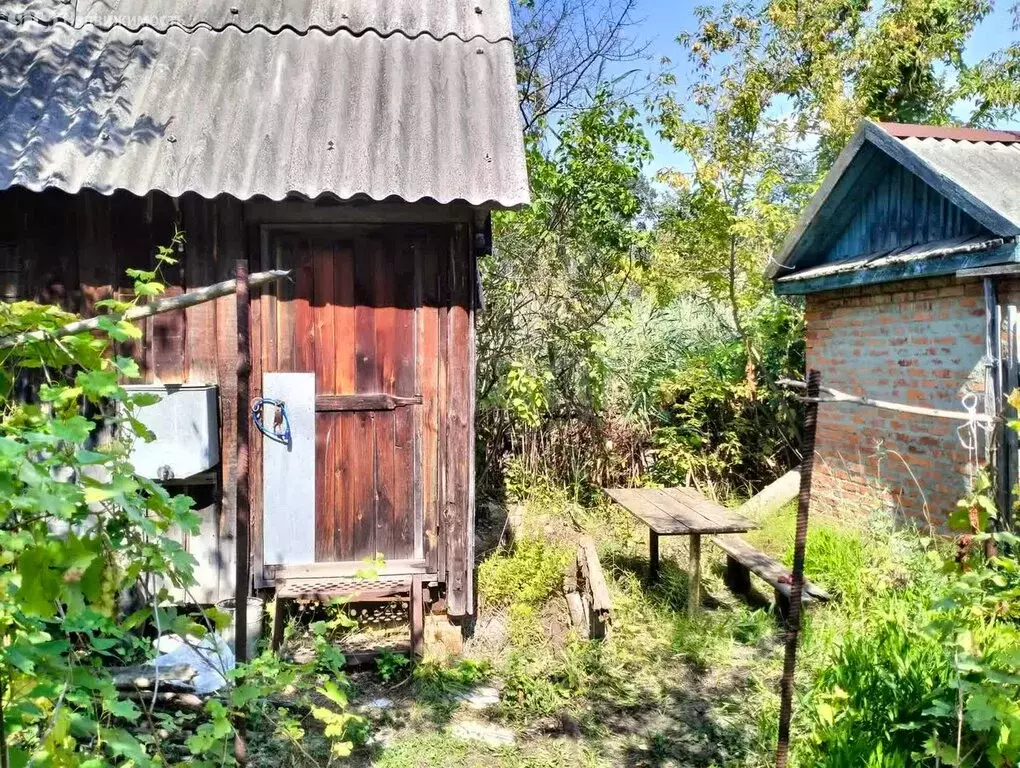 Участок в Саратов, СНТ Мечта-1 (5.3 м) - Фото 1