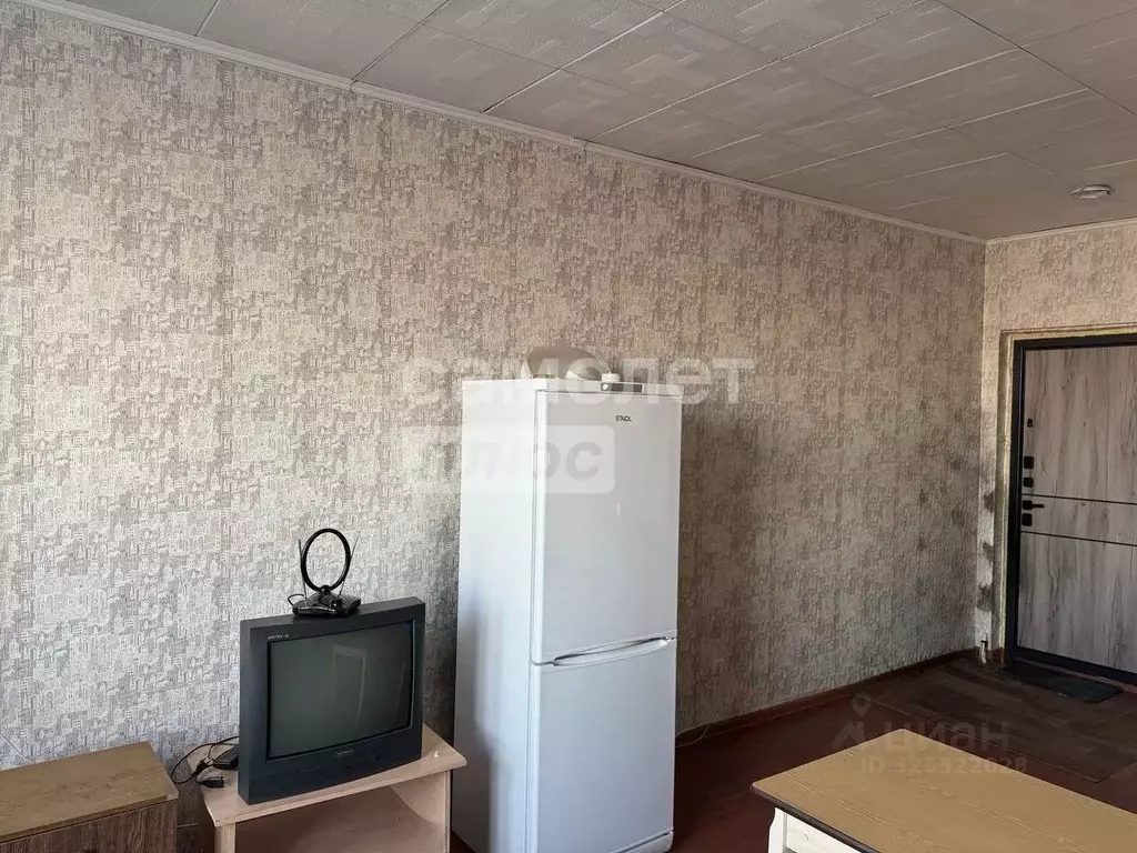 Студия Воронежская область, с. Новая Усмань ул. Полевая, 36А (25.8 м) - Фото 2