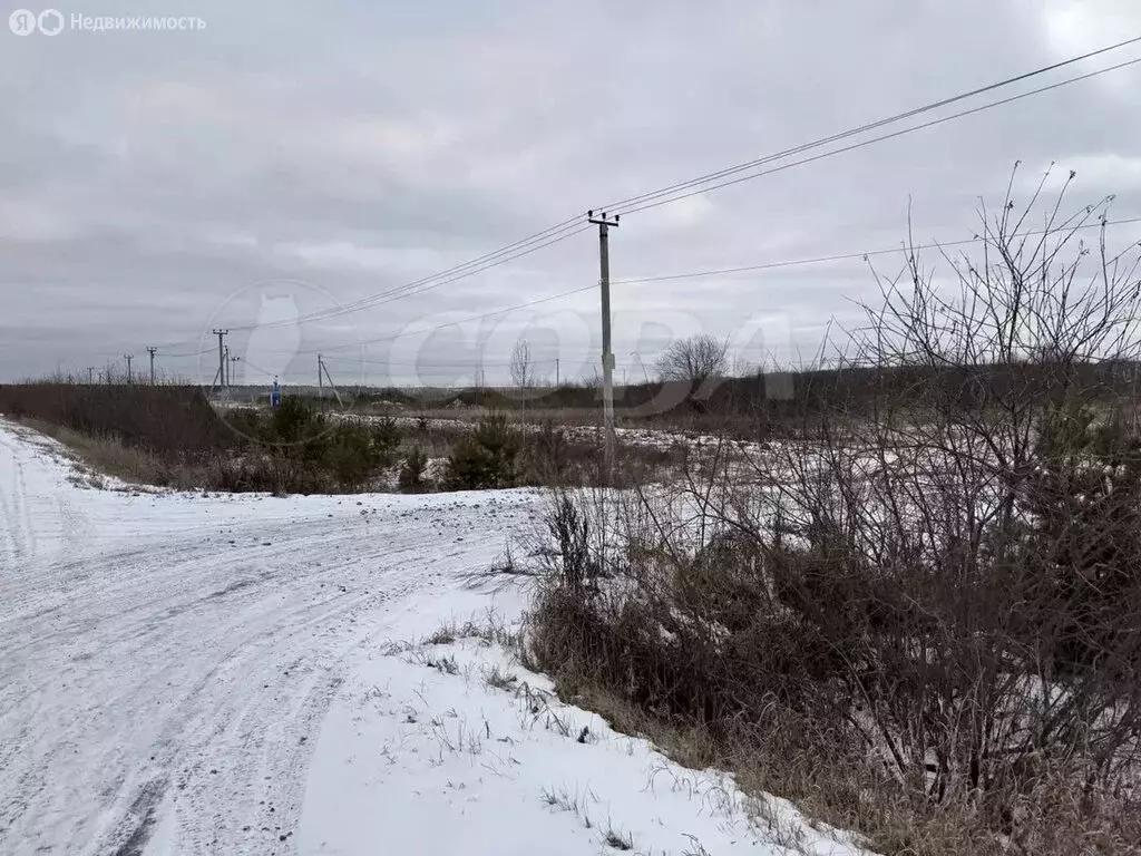 Участок в Тюменский муниципальный округ, село Кулига (14 м) - Фото 1