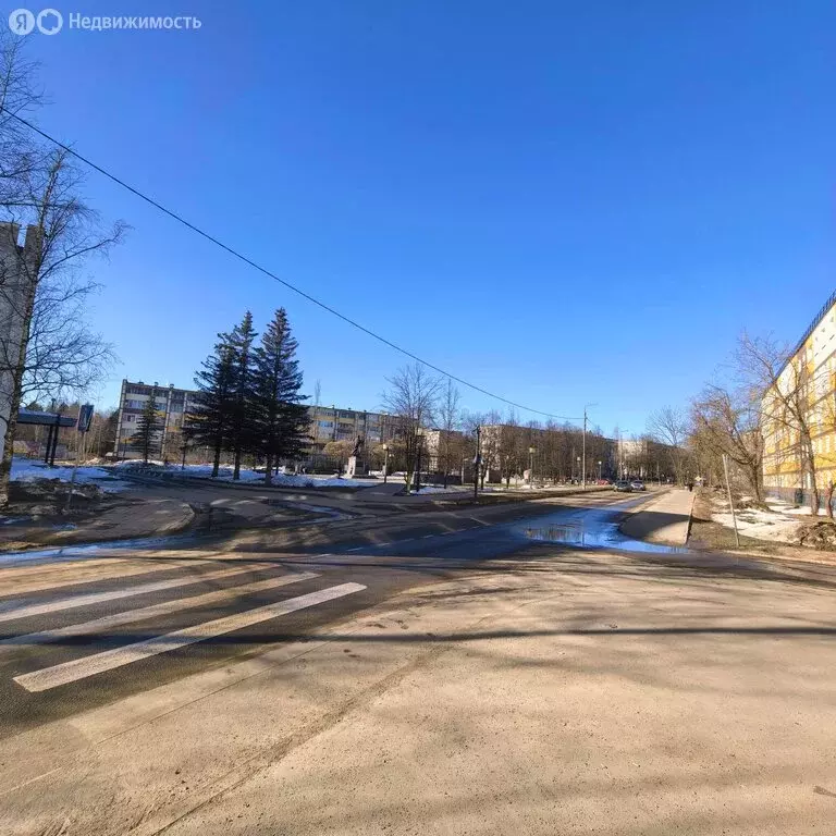 1-комнатная квартира: Пересвет, улица Королёва, 10 (29.1 м) - Фото 2