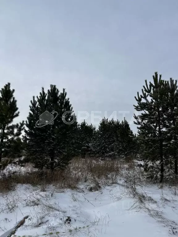 Участок в Тюменская область, Тюменский район, д. Речкина  (7.04 сот.) - Фото 1