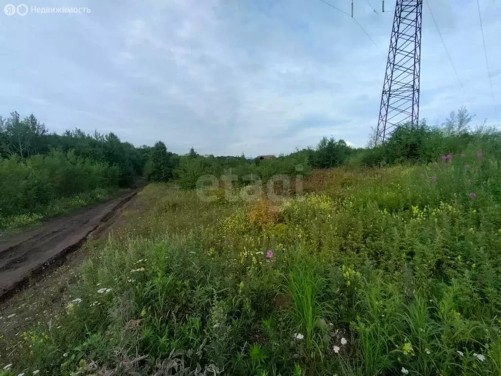 Участок в Светлый, микрорайон Молодёжный (10 м) - Фото 0