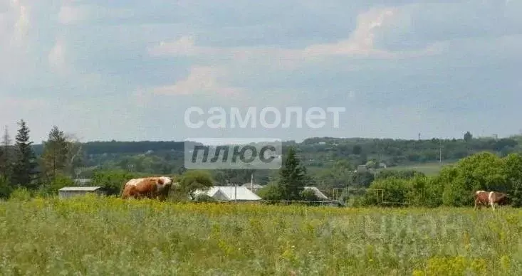 Участок в Ульяновская область, Ульяновский район, Тимирязевское с/пос, ... - Фото 0