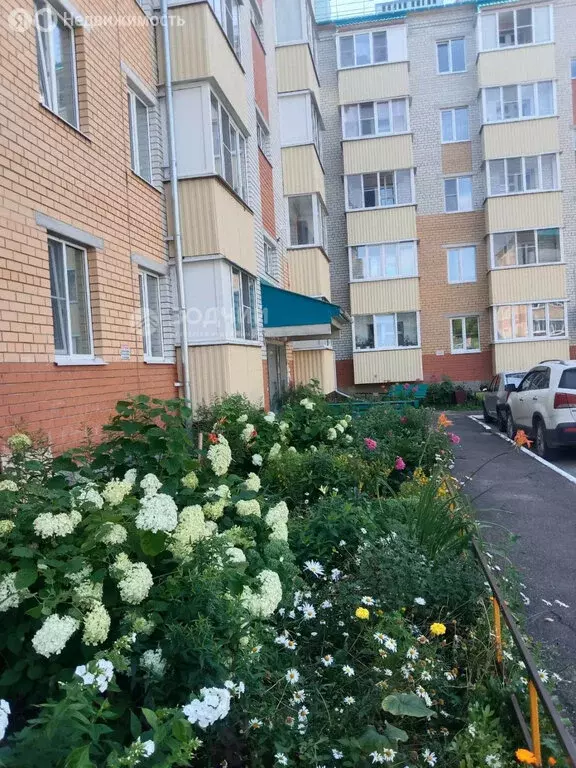 Квартира-студия: Шумерля, улица Мира, 12 (26 м) - Фото 0