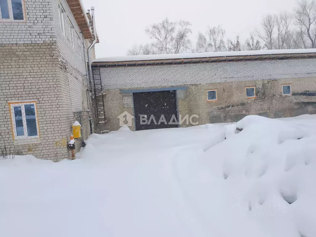 Помещение свободного назначения в Нижегородская область, Бор ул. ... - Фото 2