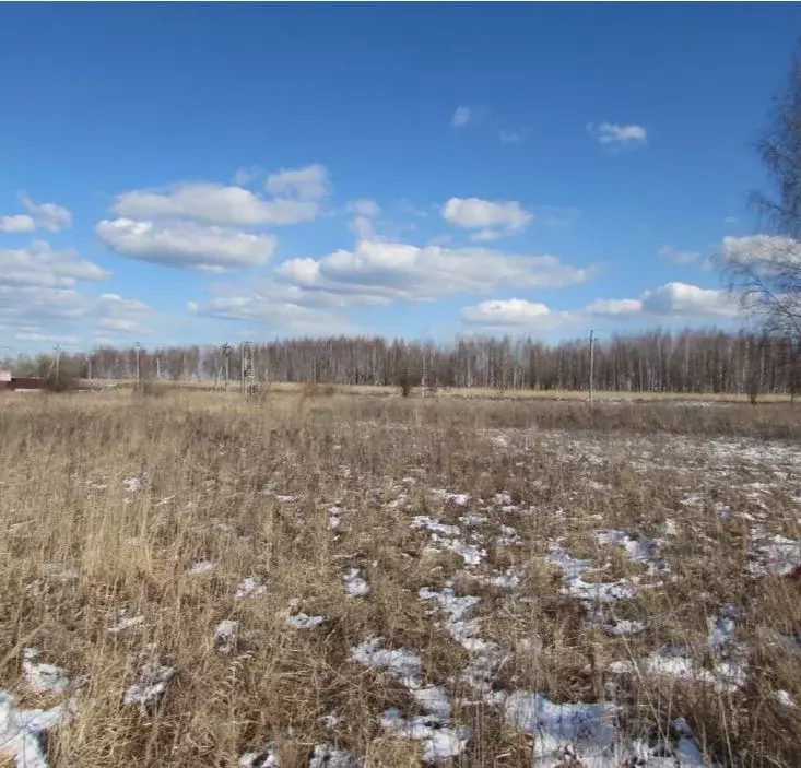 Участок в Московская область, Коломна городской округ, с. Никульское  ... - Фото 0