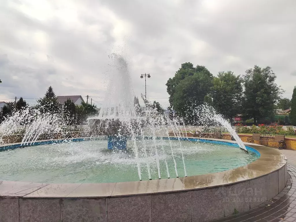 Участок в Липецкая область, Грязи ул. Красная Площадь, 12 (4.6 сот.) - Фото 2
