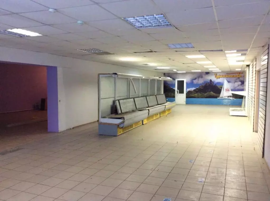 Помещение свободного назначения в Татарстан, Бавлы ул. Салиха ... - Фото 1