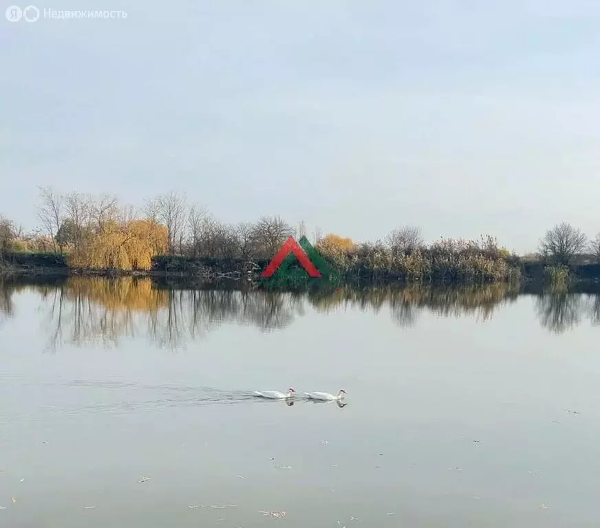 Участок в станица Ивановская, улица Льва Толстого, 4 (28 м) - Фото 2