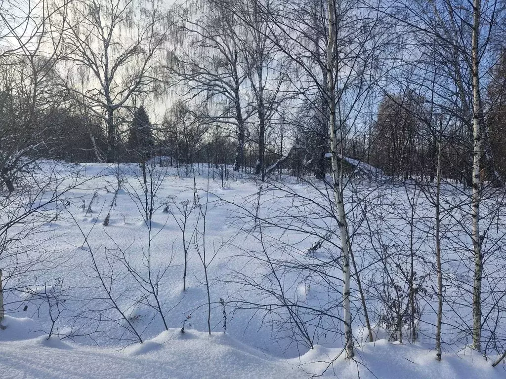 Участок в Московская область, Ступино городской округ, д. ... - Фото 1