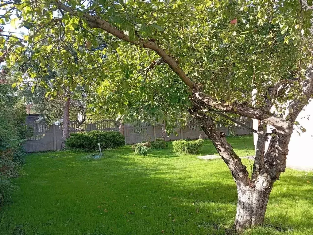 Дом в Калининградская область, Калининград пер. Георгия Щербакова, 1 ... - Фото 2