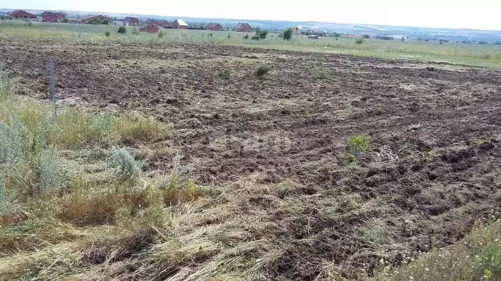 Участок в Ростовская область, Родионово-Несветайский район, ... - Фото 0