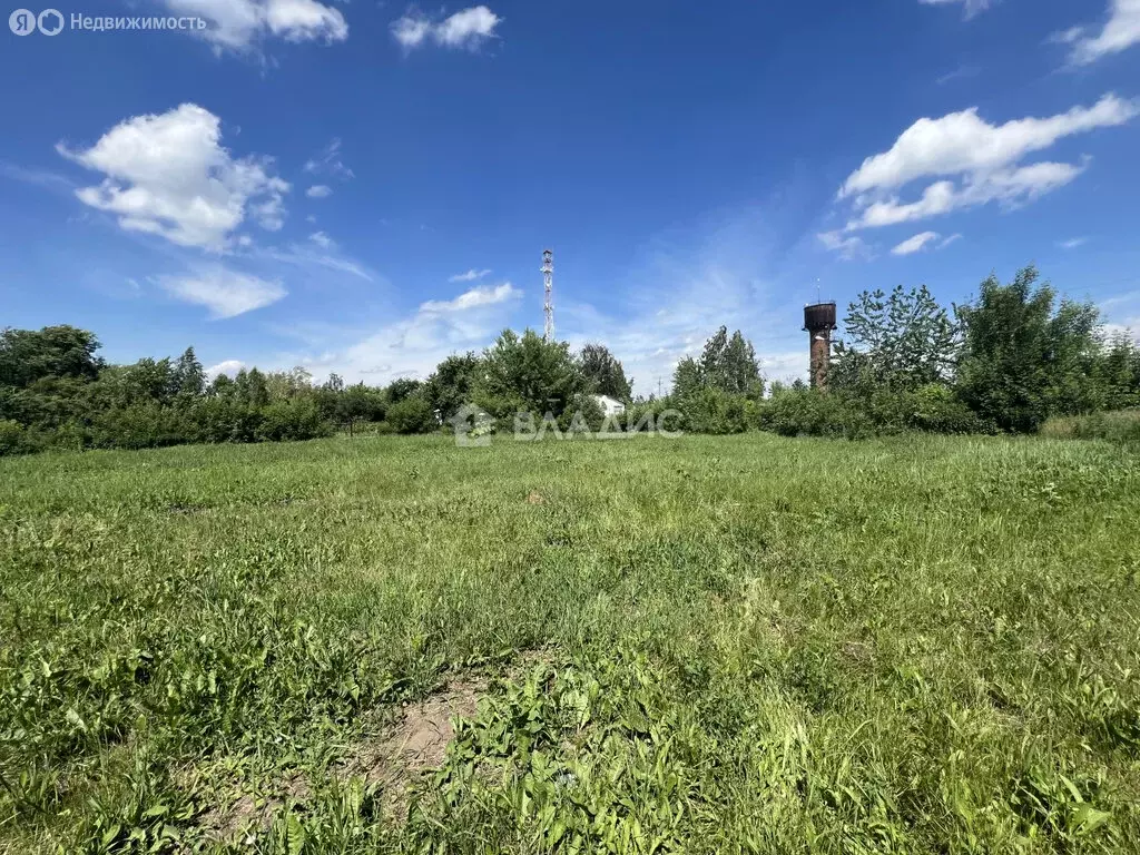 Участок в Московская область, городской округ Луховицы, деревня ... - Фото 1