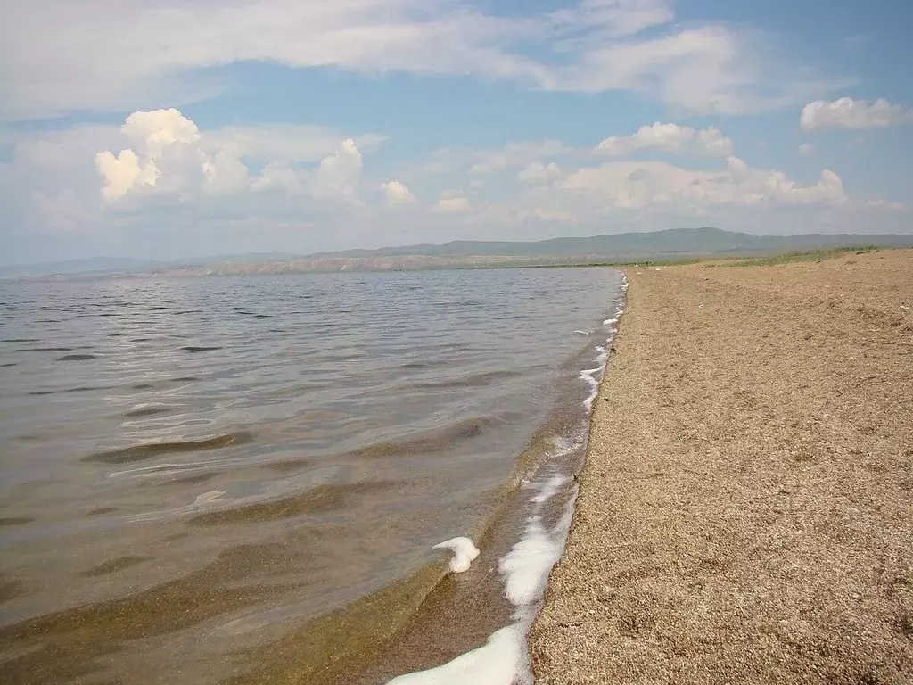 Участок в Бурятия, Селенгинский район, Гусиное Озеро с/пос, Белый ... - Фото 1