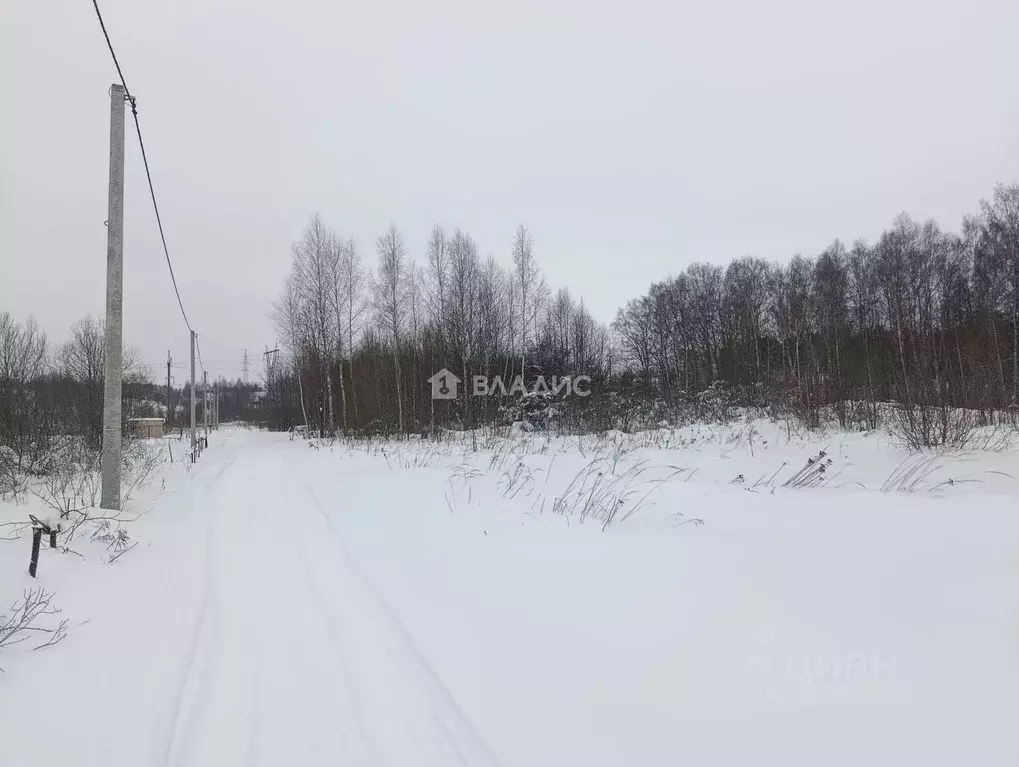 Участок в Владимирская область, Суздальский район, Новоалександровское ... - Фото 2