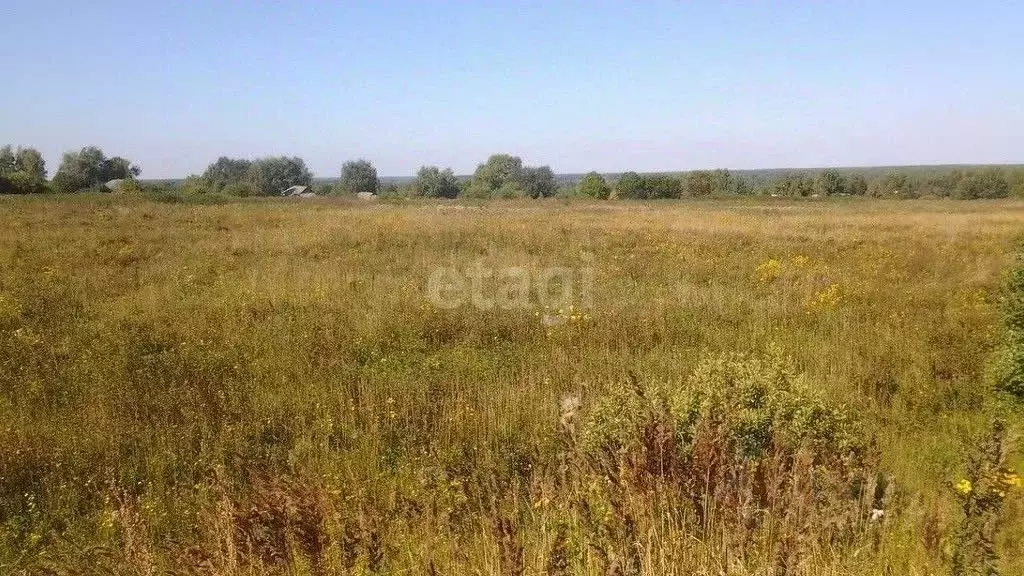 Участок в Ярославская область, Некрасовский муниципальный округ, д. ... - Фото 2