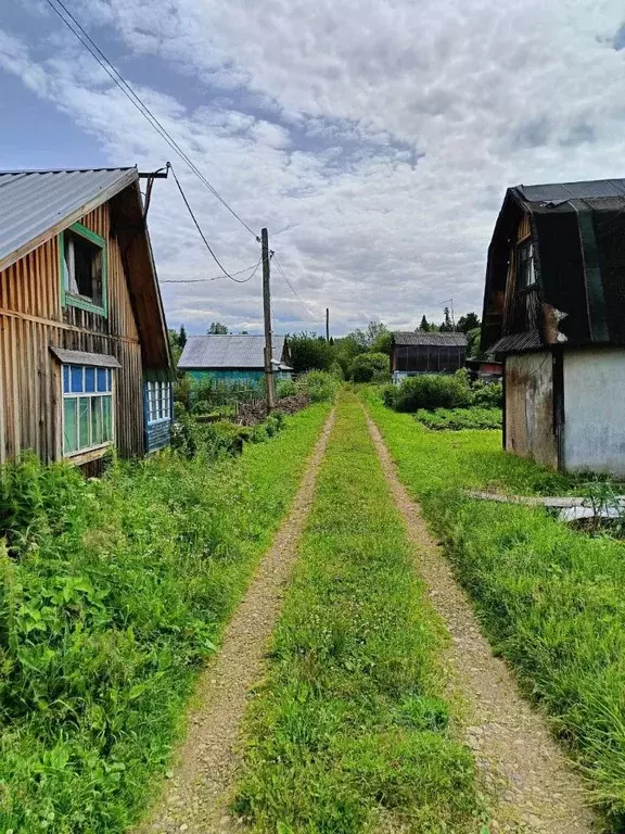 Дом в Пермский край, Нытвенский городской округ, № 5 СНТ 41 (18 м) - Фото 1
