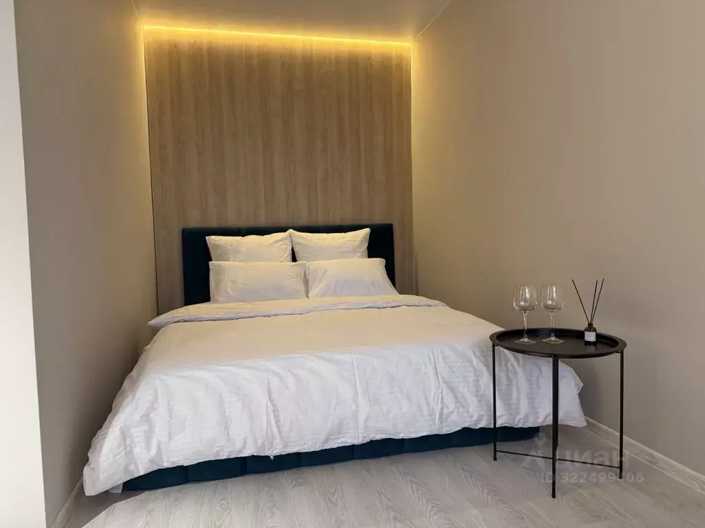 Студия Ивановская область, Ивановский район, Богданихское с/пос, д. ... - Фото 2