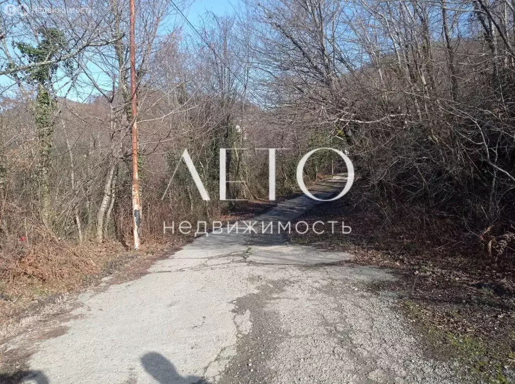 Участок в Хоста, Дачная улица (17 м) - Фото 2