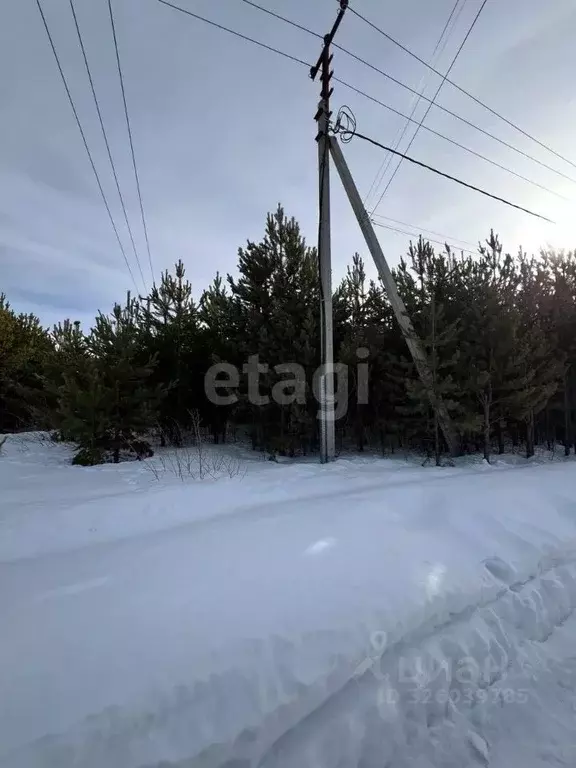 Участок в Свердловская область, Екатеринбург Верхнемакарово кп,  (10.8 ... - Фото 2
