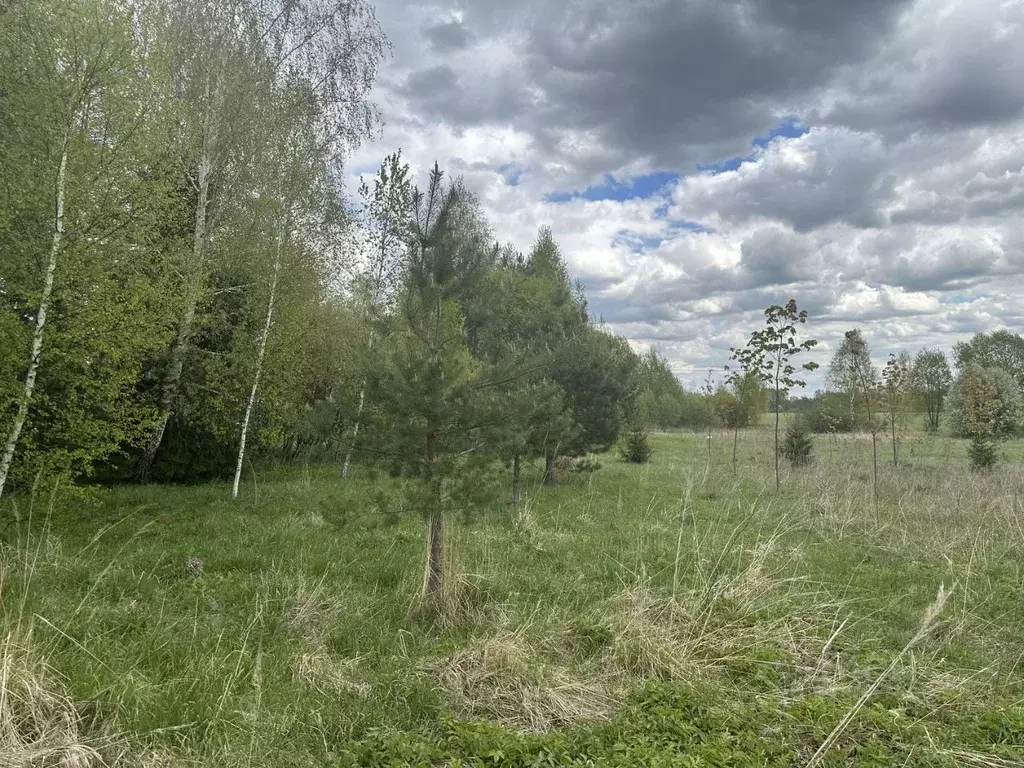 Участок в Московская область, Богородский городской округ, д. Ельня  ... - Фото 1