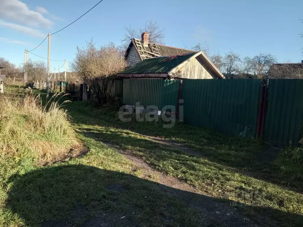 Дом в Калининградская область, Черняховск ул. Шевченко, 18 (48 м) - Фото 2