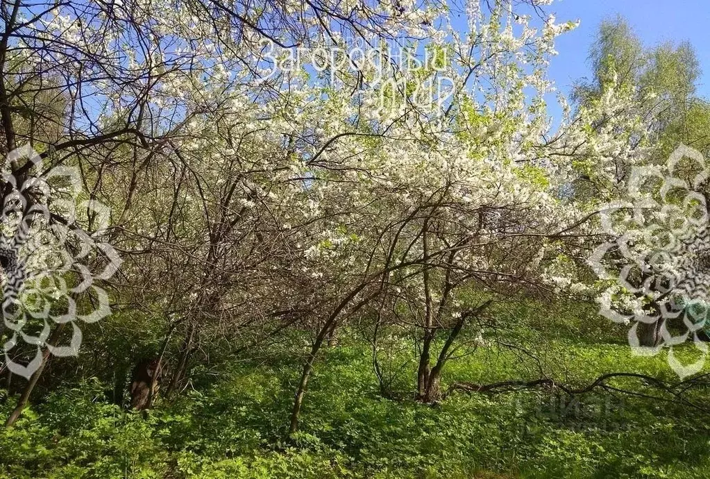 Участок в Московская область, Балашиха Салтыковка мкр, Октябрьская ул. ... - Фото 2