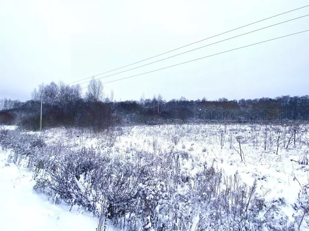 Участок в Московская область, Рузский городской округ, д. Мытники ул. ... - Фото 1