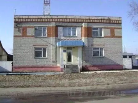 Помещение свободного назначения в Воронежская область, Новохоперский ... - Фото 1