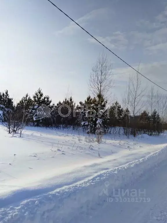 Участок в Тюменская область, Нижнетавдинский район, с. Тюнево  (10.0 ... - Фото 0