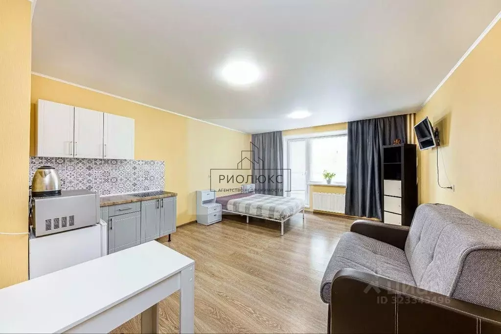 Студия Челябинская область, Челябинск Университетская Набережная ул., ... - Фото 2