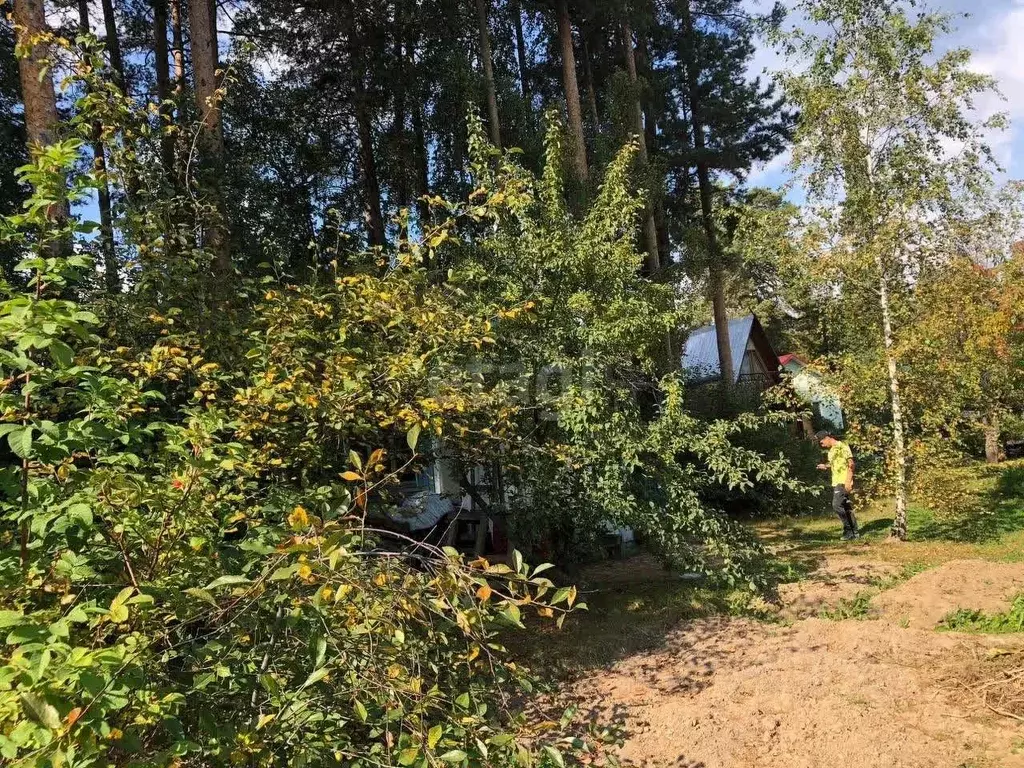 Дом в Свердловская область, Екатеринбург Медик-1 садоводческое ... - Фото 0