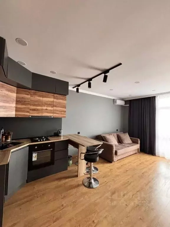 Студия Краснодарский край, Сочи Курортный просп., 59 (30.0 м) - Фото 1