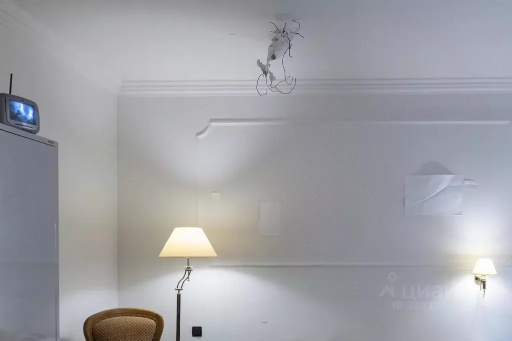 Комната Москва Спиридоньевский пер., 9С1 (28.0 м) - Фото 2