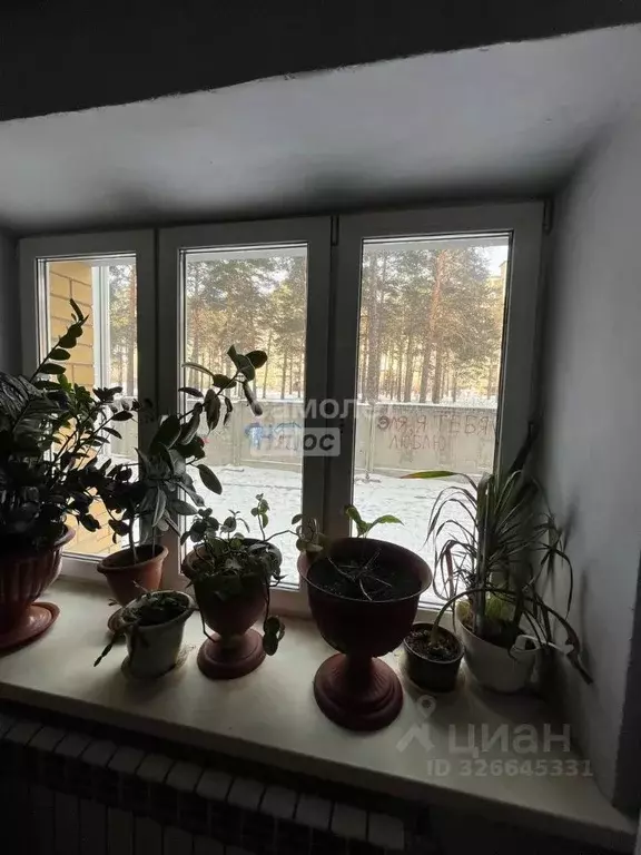 3-к кв. Забайкальский край, Чита ул. Фрунзе, 35 (96.1 м) - Фото 2