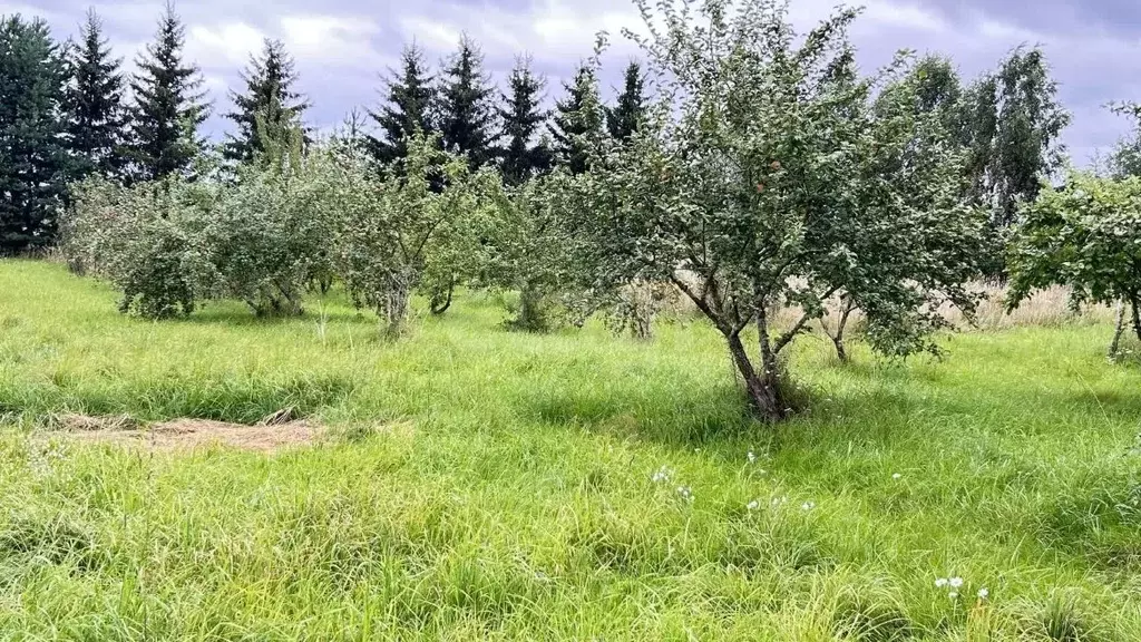 Участок в Псковская область, Печорский муниципальный округ, д. Усадище ... - Фото 2