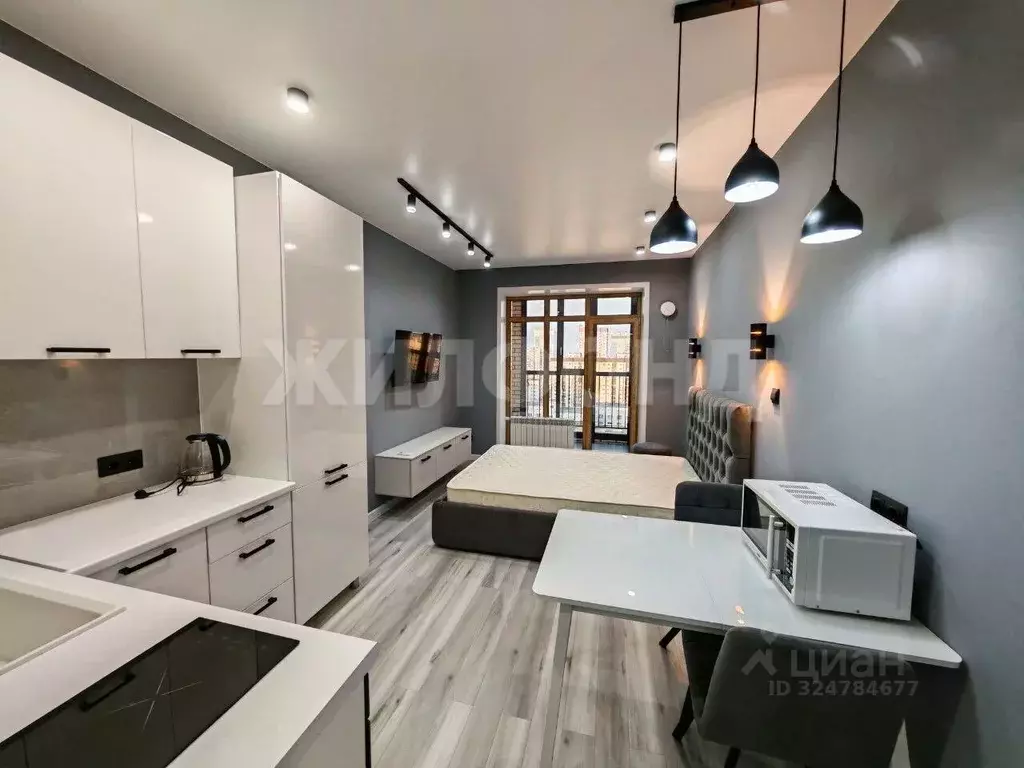 Студия Новосибирская область, Новосибирск ул. Державина, 50 (26.0 м) - Фото 1