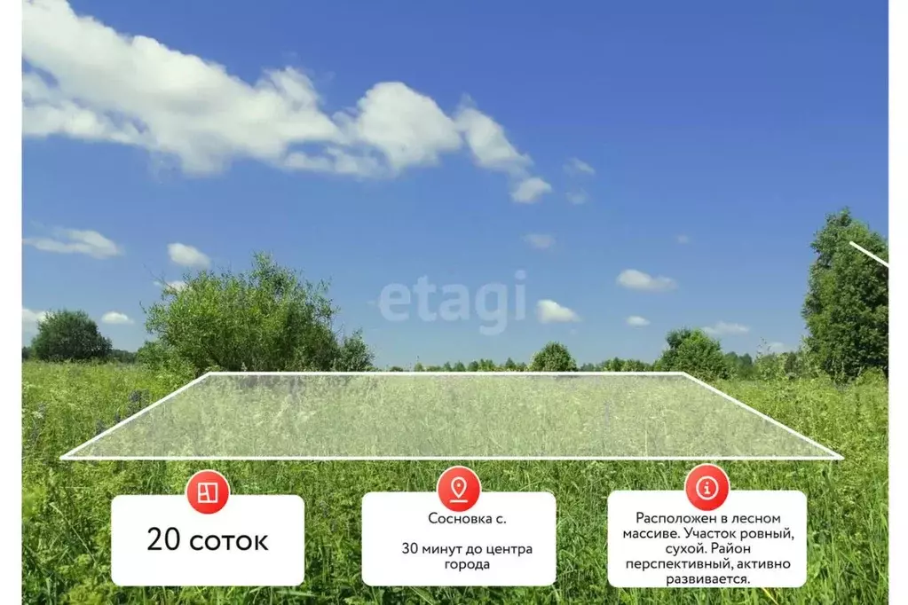 Участок в Хабаровский край, Хабаровский район, с. Сосновка Шоссейный ... - Фото 1