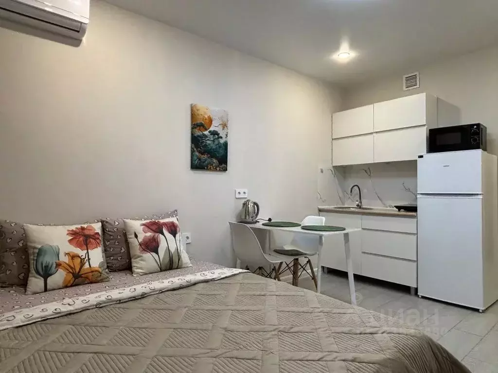 Студия Краснодарский край, Краснодар ул. Евгении Жигуленко, 7к1 (20.0 ... - Фото 2