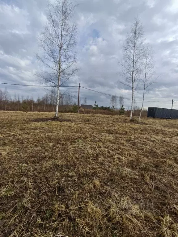 Участок в Новгородская область, Новгородский район, Бронницкое с/пос, ... - Фото 2