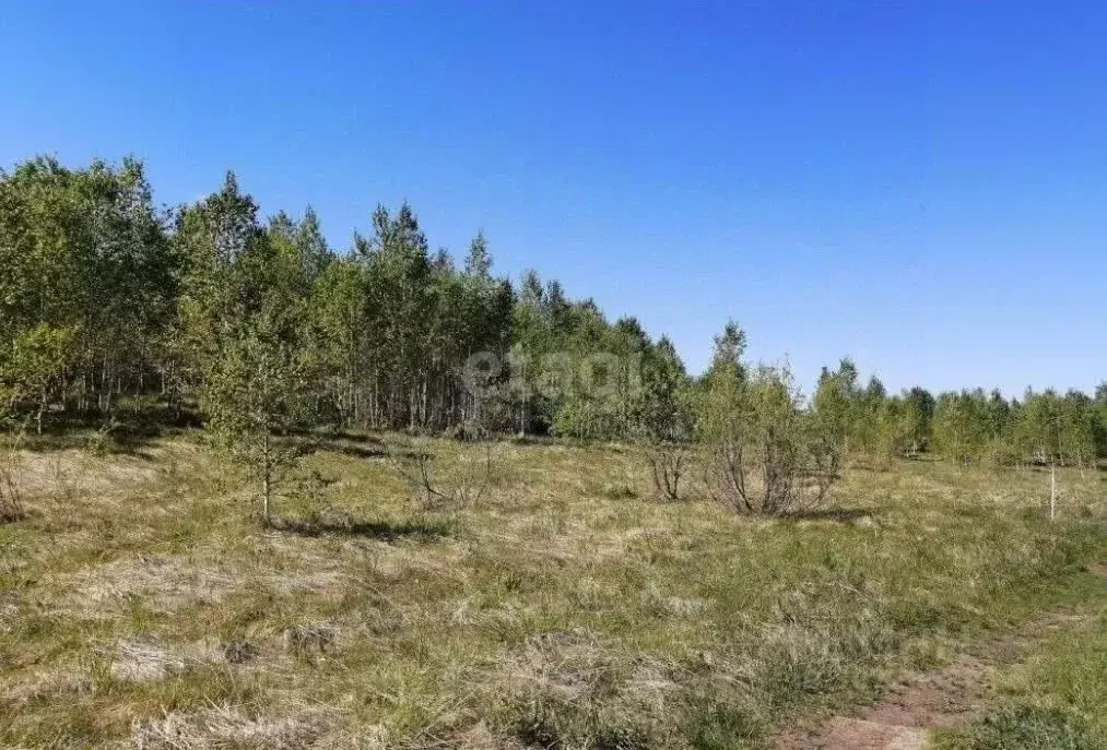 Участок в Томская область, Томский район, с. Корнилово ул. Жданова ... - Фото 1