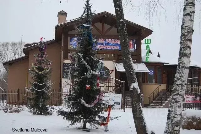 Торговая площадь в Смоленская область, Гагарин ул. Гагарина, 13А (25 ... - Фото 2