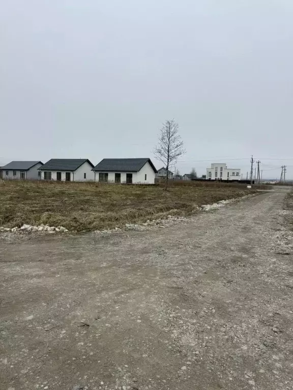 Участок в Калининградская область, Гурьевский муниципальный округ, ... - Фото 1