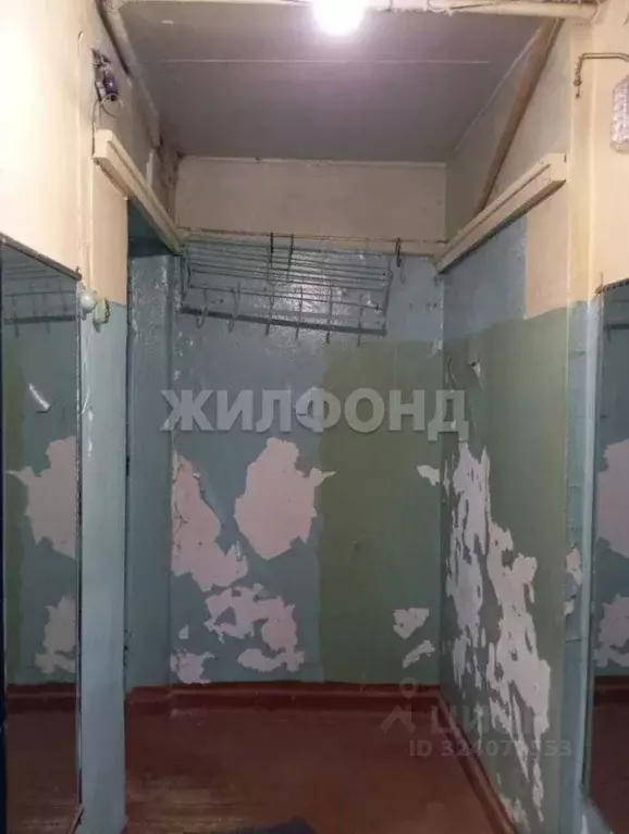 1-к кв. Новосибирская область, Новосибирск Узорная ул., 8 (30.5 м) - Фото 1