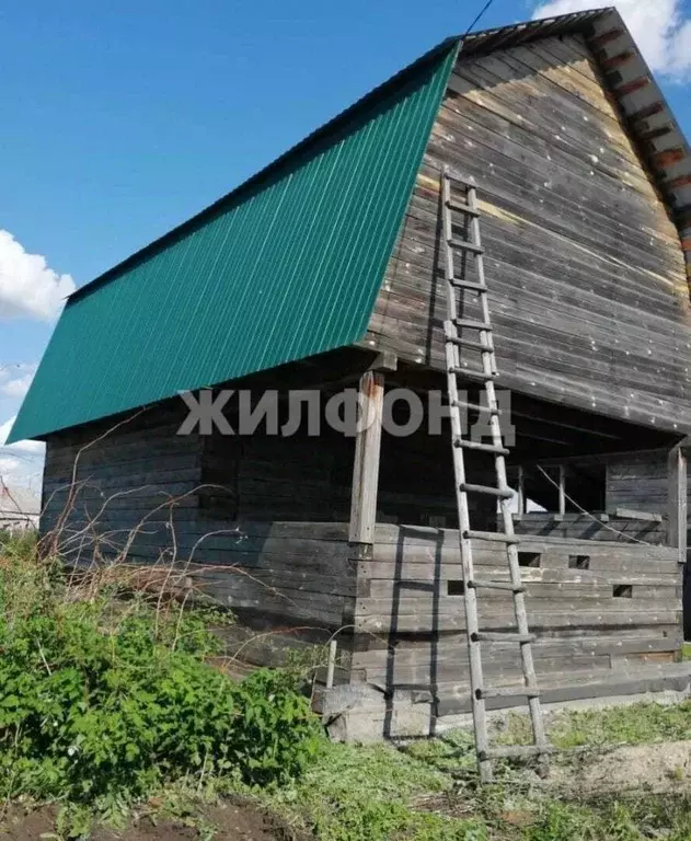 Участок в Новосибирская область, Мошковский район, с. Белоярка ... - Фото 1