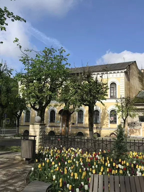Офис в Ленинградская область, Гатчина ул. Чкалова, 77 (10 м) - Фото 0